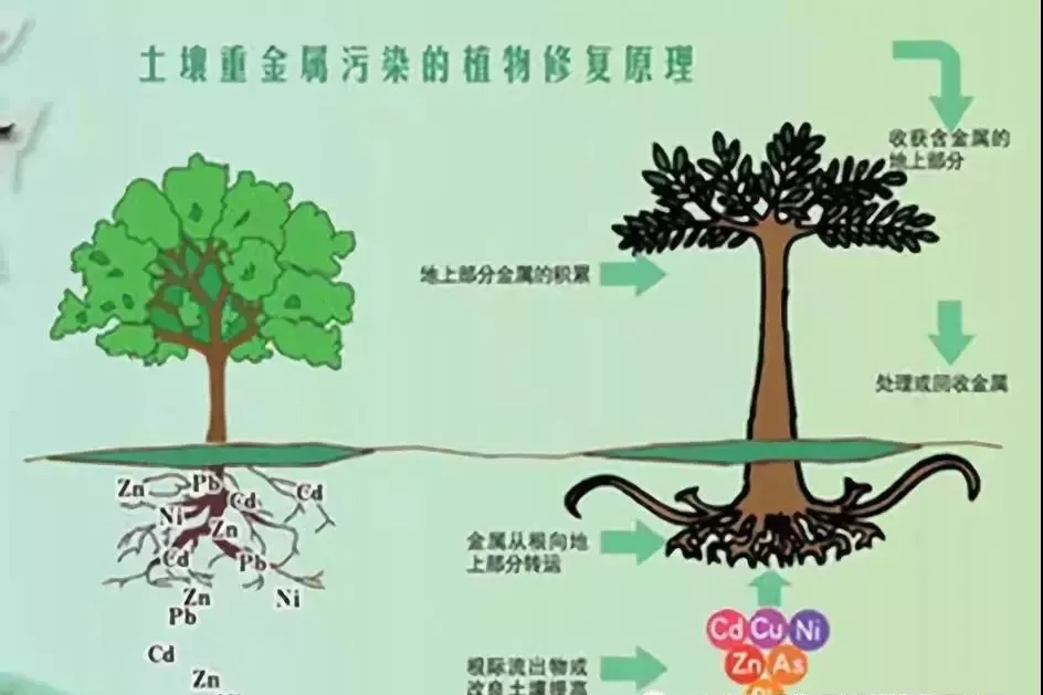 1559197457116211.jpg